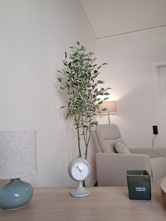 Office-for-Mental-Health-Professionals 